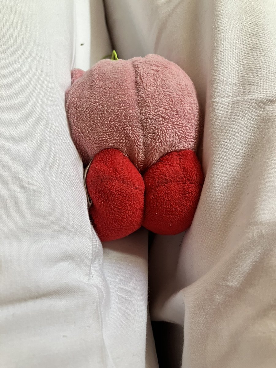 ichigo_no_cakey's tweet photo. 🛏️🍑 https://t.co/udykxQisDz