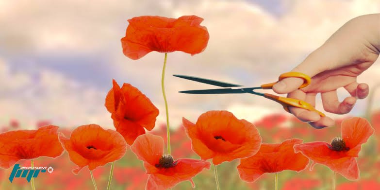 resdia's tweet photo. Tall poppy syndrome https://t.co/otEo4ZitnL