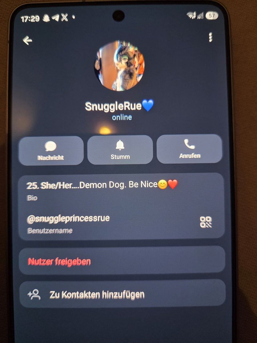 Nero_The_Fox's tweet photo. This person is a big beaware⚠️⚠️⚠️⚠️

I don't like to do that, but a big one: Be careful of this person: she's trying to pull money out of your pocket when she calls, there's an AI voice.

the tg @ is snuggleprincessrue

Please share 

#Scam #furryscam #beware #moneyscamn https://t.co/l1fKc7yk6a