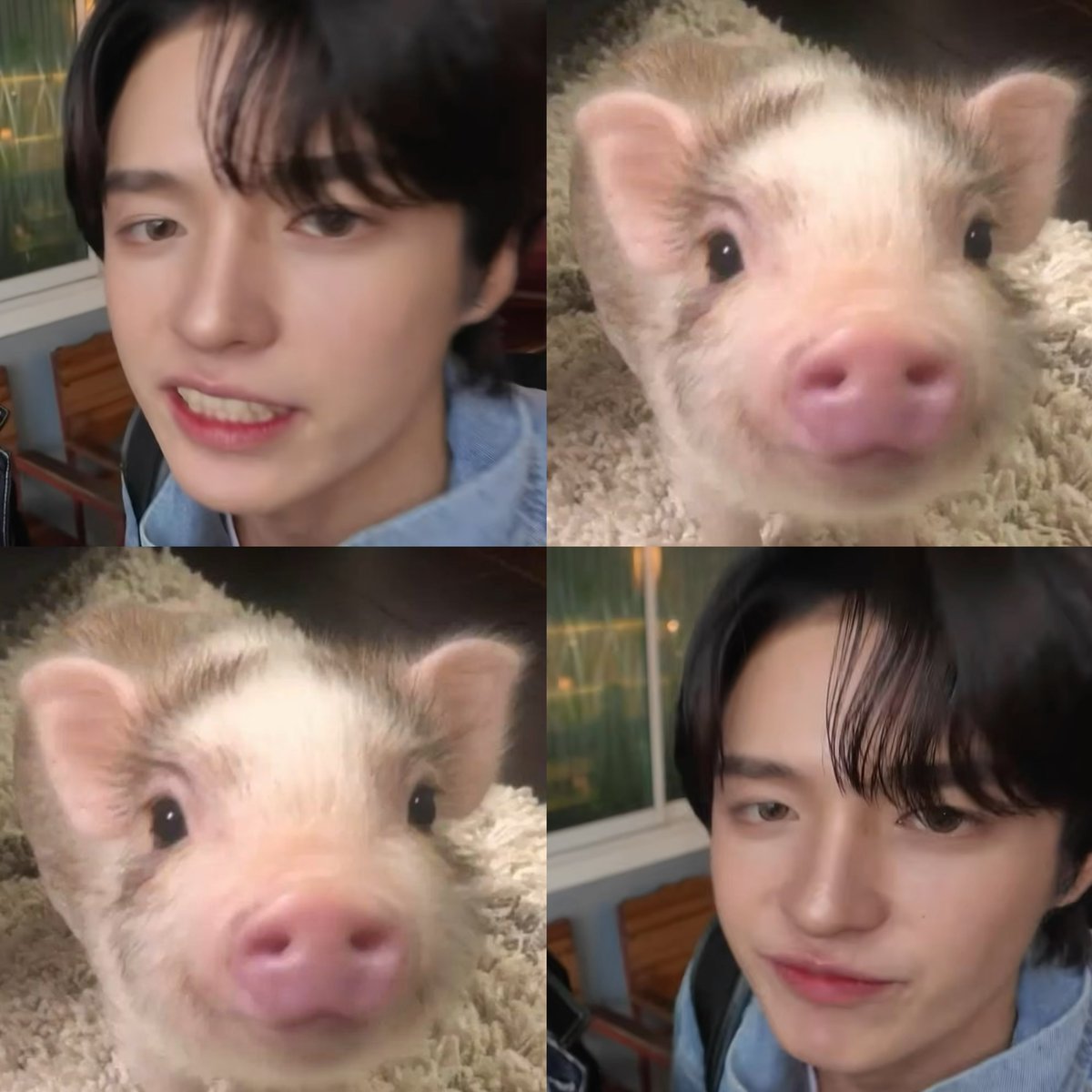 pararadayryyyy's tweet photo. เรารักหมู https://t.co/tDHxmjQtny