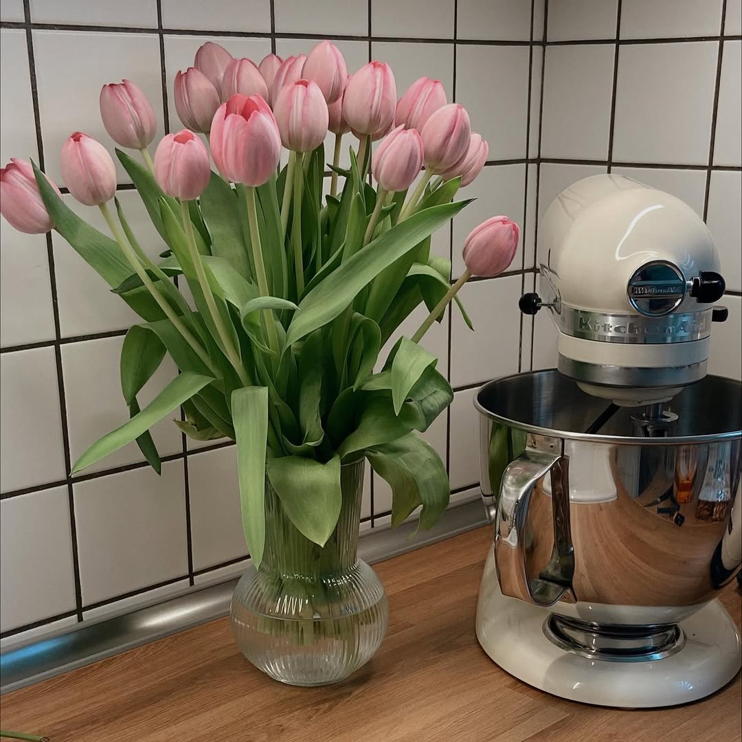 CarollTroeil's tweet photo. Essentials

I’m slowly settling into my new life, which means I’ll be sharing more about healthy, balanced eating. There’s so much to share with you all. https://t.co/RrylH02pwj