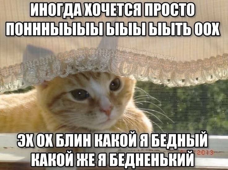 catsilcats's tweet photo. https://t.co/s2ApfEtiL5