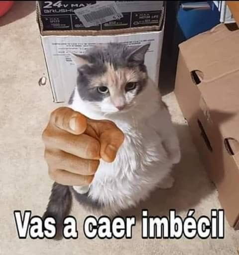 Gonzales_o7's tweet photo. @WestCOL Ale4!! https://t.co/WPKwYgv9Qs