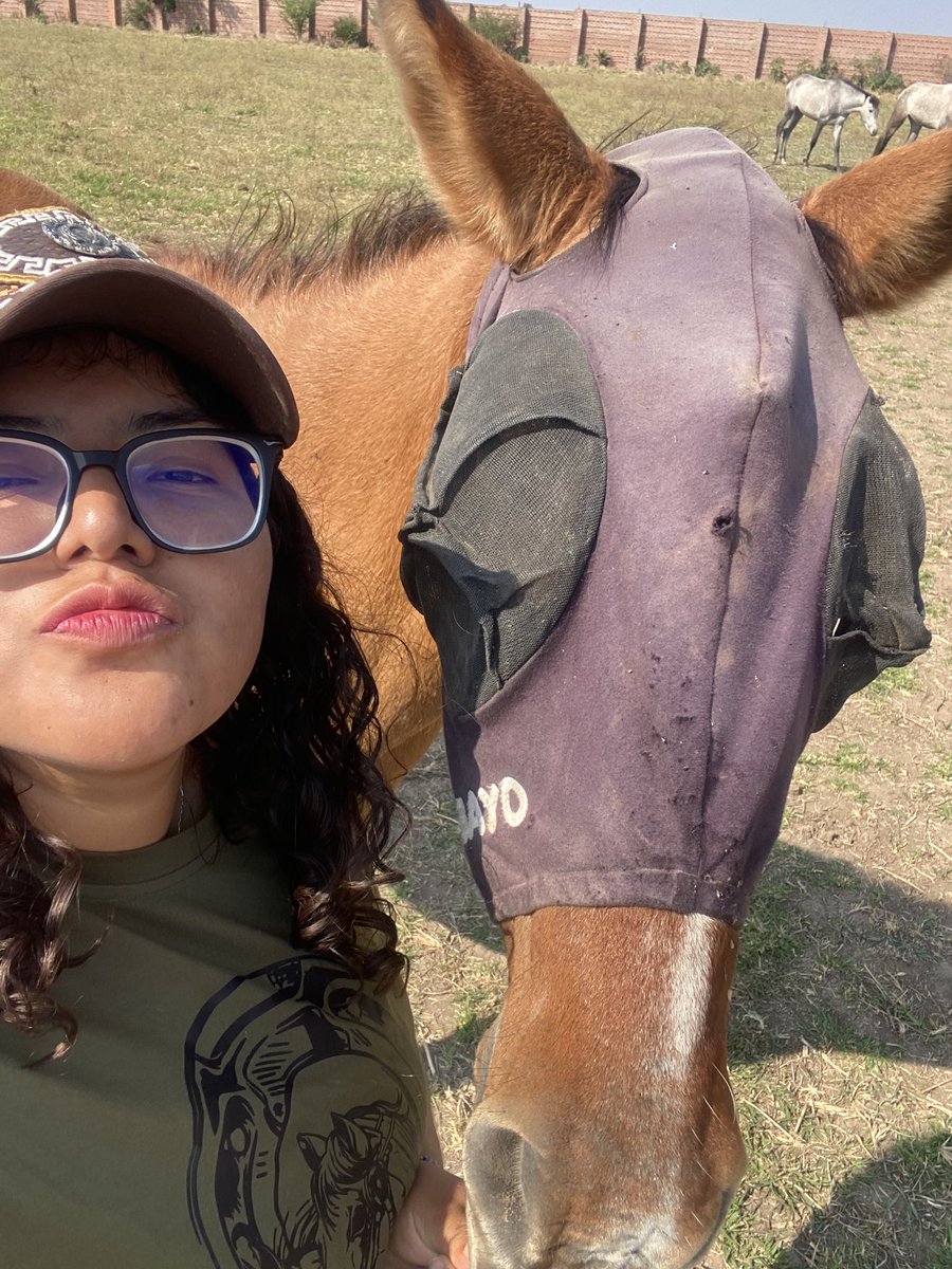 _anihc's tweet photo. Escuché “Belina” por primera vez y no pude evitar llorar, mi caballito murió hace un año y no hay un día en que no piense en el. @danielaacallee gracias por hacerme recordar lo que es el amor de un ser tan puro.
“Solo el sol será testigo de como me miras, mi bayito”🤎 https://t.co/OmOzUhKrJW