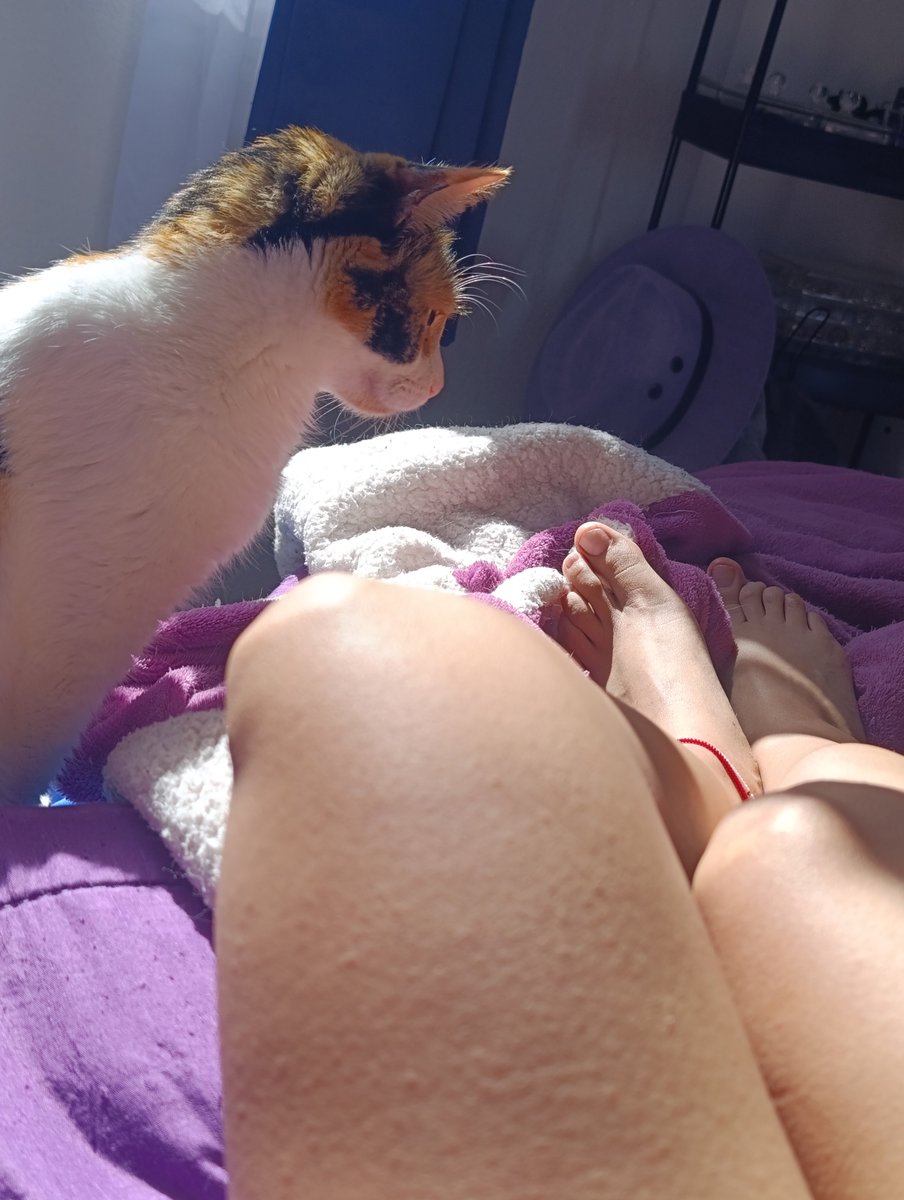 PatitasDeSeda's tweet photo. Good Morning/Buenos días ☀️
Mis piecitos💜👣 listos para un baño de sol, disfrutando la mañana con mi mínino 🐾
#footfetısh #catslovers #feetfetısh https://t.co/KkLoV1ElEc