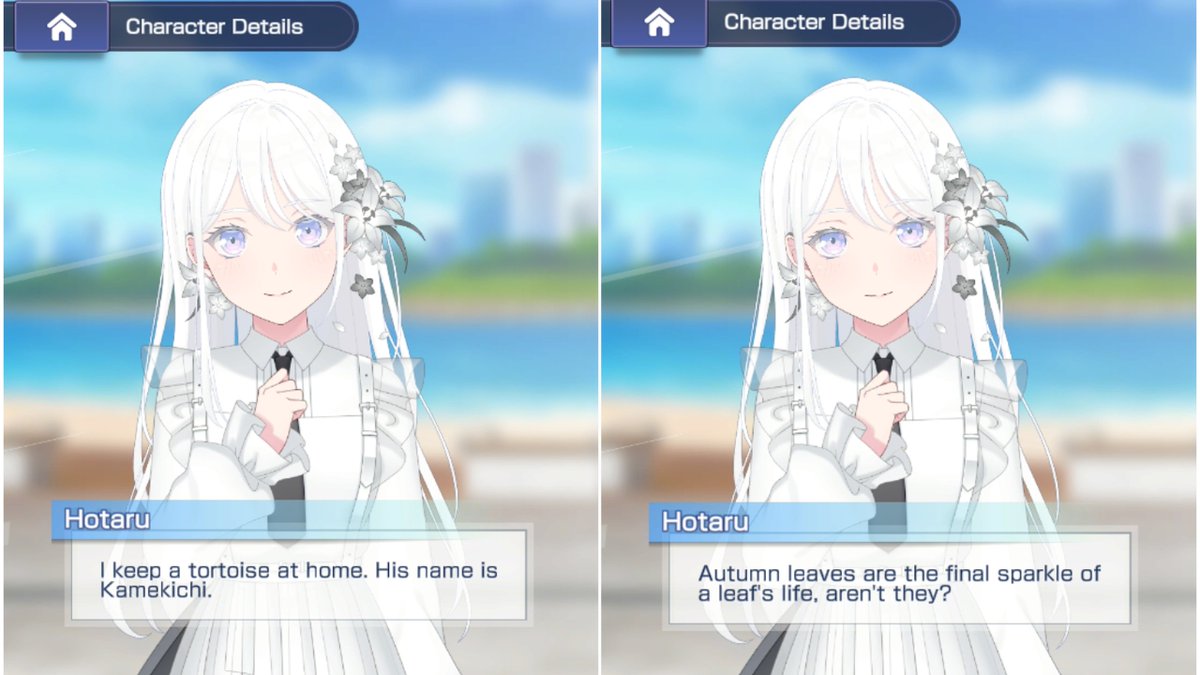 millsagearchive's tweet photo. Hotaru's Dialogues https://t.co/ksmQl0WZX5