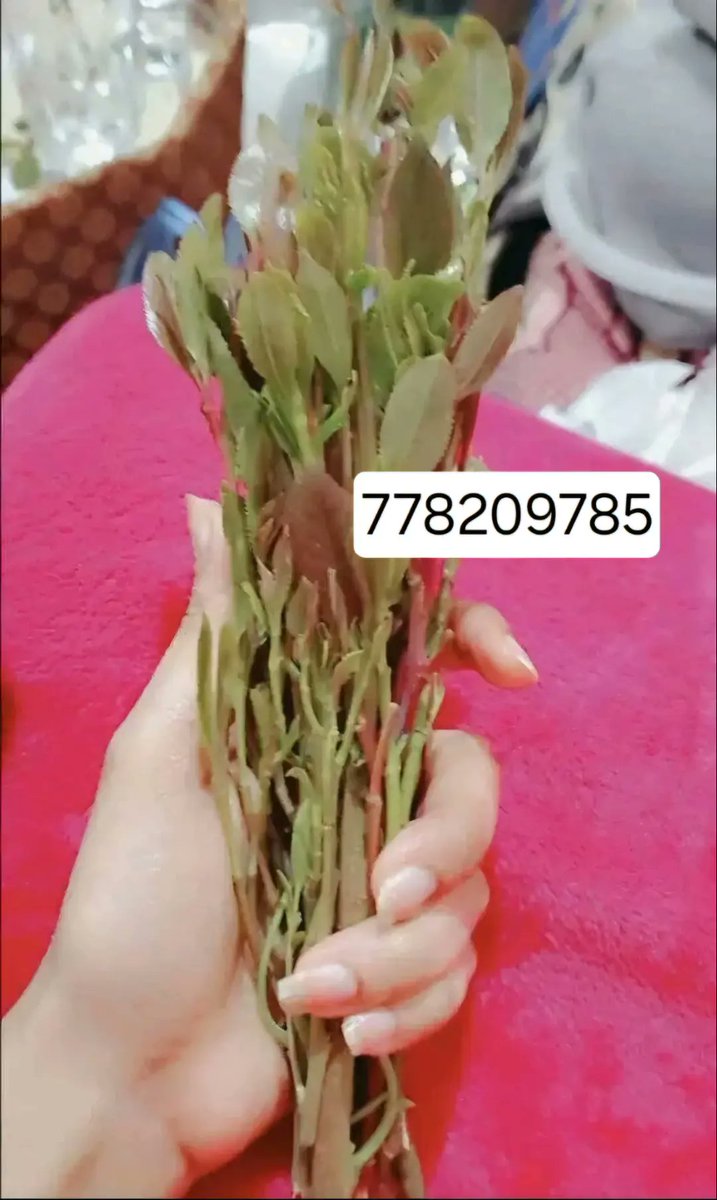 b08rky's tweet photo. قحبه صنعانيه https://t.co/Lo4DD3Sbam