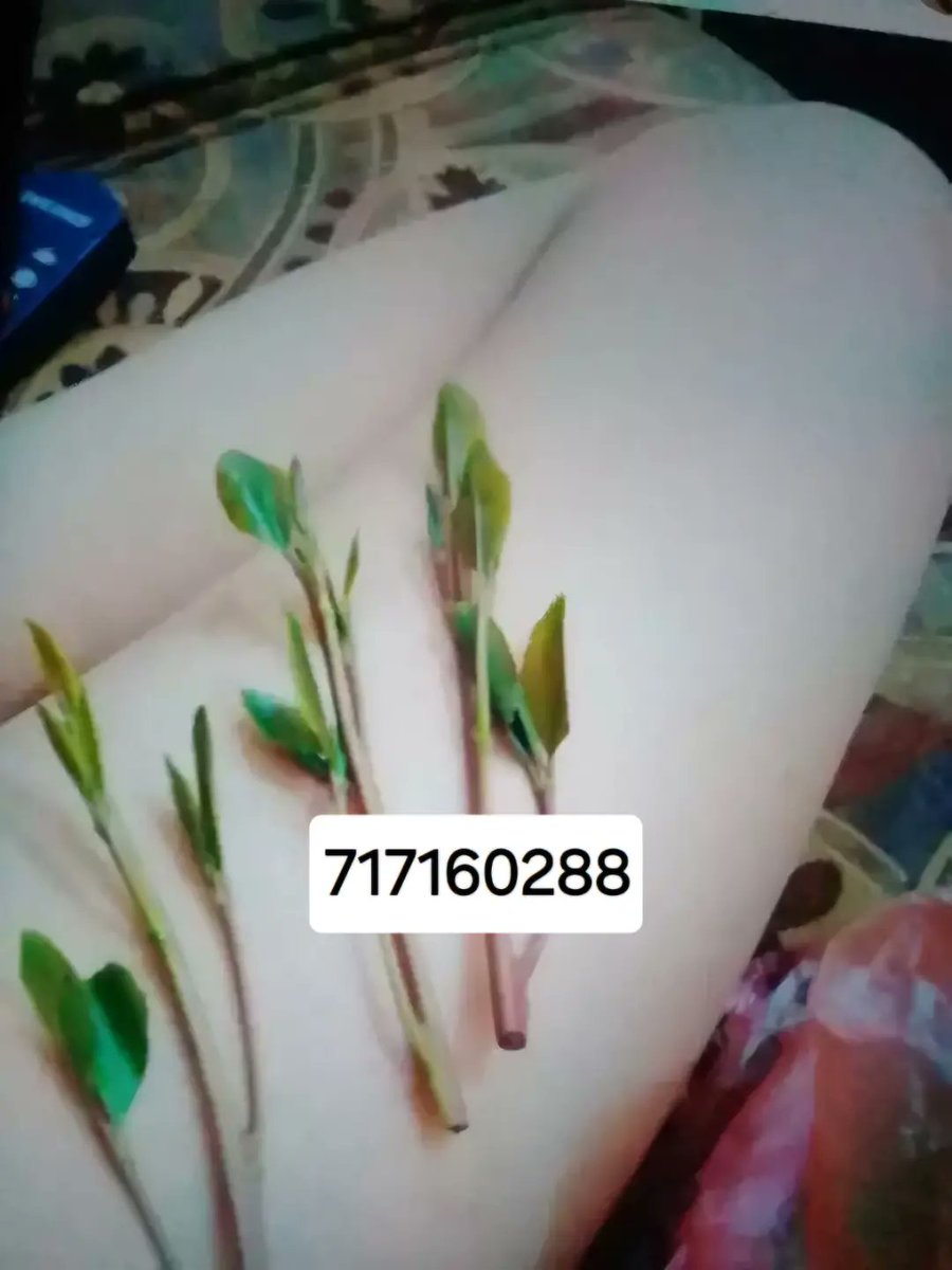 b08rky's tweet photo. قحبه صنعانيه https://t.co/ct9DIZBpli