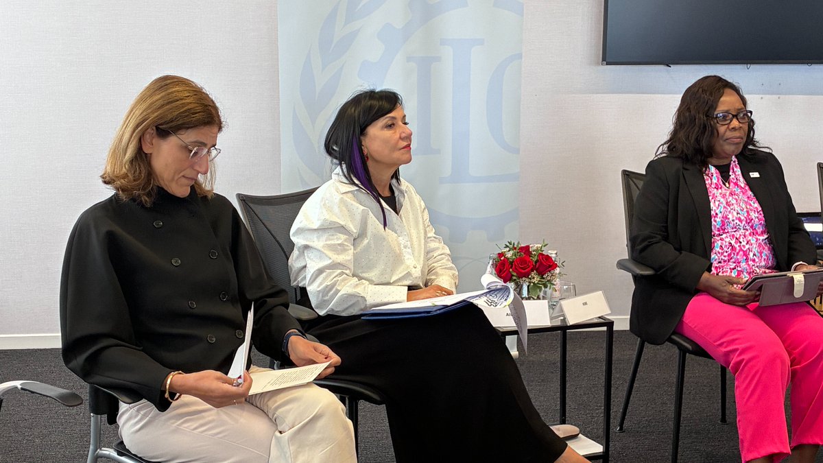 ILO_NewYork's tweet photo. The #platformeconomy is changing how people work, but its future is a matter of choice. Today’s #UNGA81 discussion highlighted the value of social dialogue, strong national policies and international cooperation in putting #decentwork at the centre of that change. #C193 https://t.co/HvI11eCh2G
