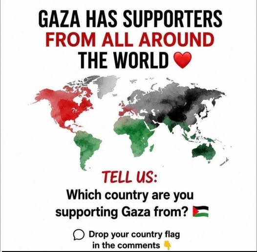 Naila_Ayad's tweet photo. https://t.co/erNk7hWgwi