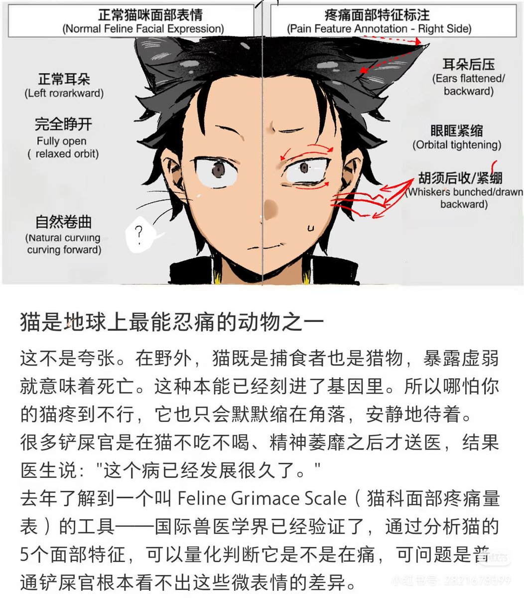 xile395431's tweet photo. https://t.co/wGykT8iHhr