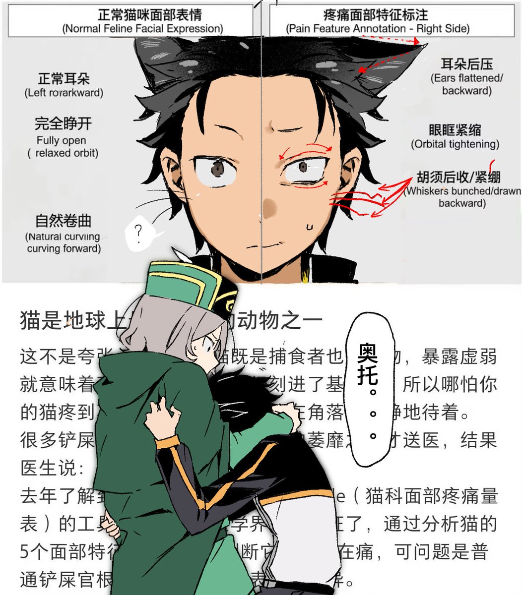xile395431's tweet photo. https://t.co/wGykT8iHhr