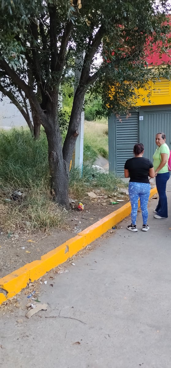 arrobacionbea's tweet photo. @Tiendas_OXXO @OXXO_Escucha Atrás a un lado de la tienda, pero está así alrededor. Ni un bote de basura. https://t.co/owO1eY1Uyc