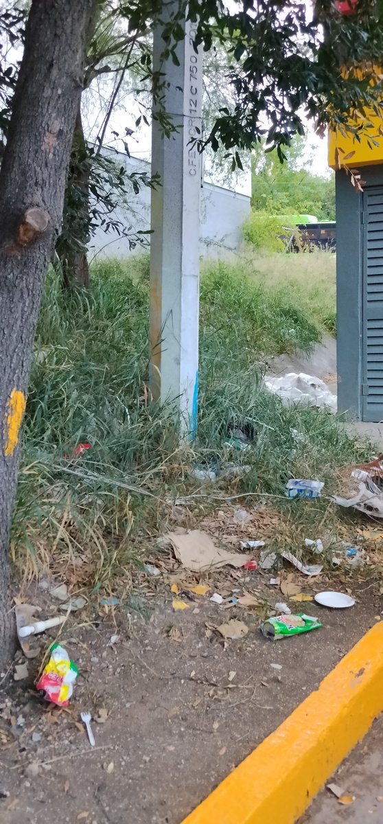 arrobacionbea's tweet photo. @Tiendas_OXXO @OXXO_Escucha Atrás a un lado de la tienda, pero está así alrededor. Ni un bote de basura. https://t.co/owO1eY1Uyc
