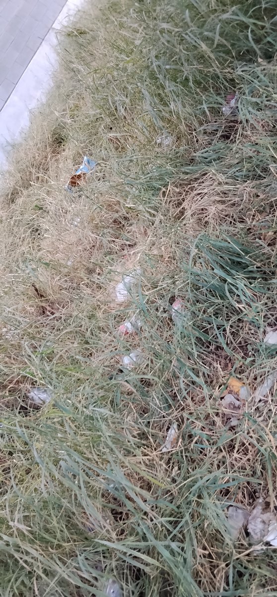arrobacionbea's tweet photo. @Tiendas_OXXO @OXXO_Escucha Atrás a un lado de la tienda, pero está así alrededor. Ni un bote de basura. https://t.co/owO1eY1Uyc