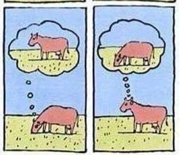 SlitheringP's tweet photo. my relationship with drugs https://t.co/pUEt7IiWv4