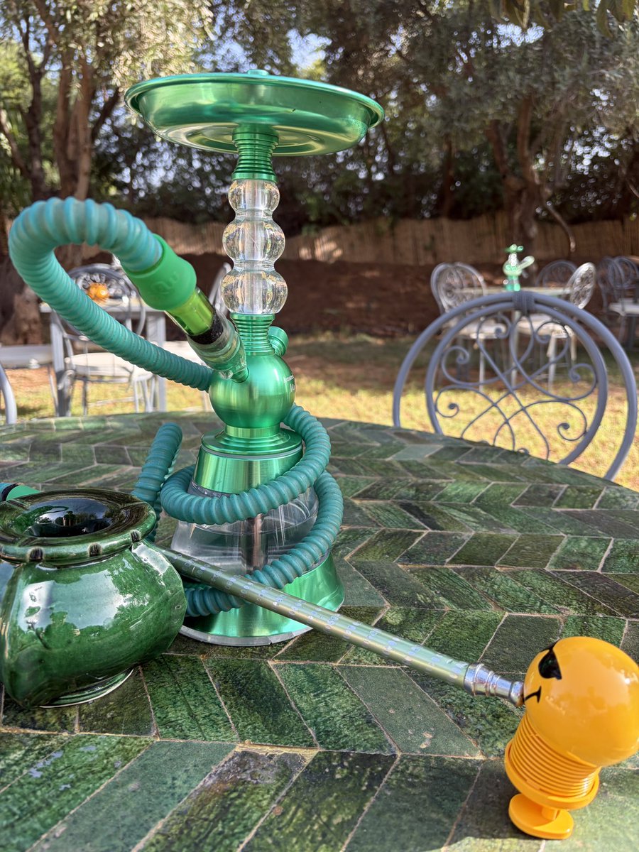 KyleOnKeys's tweet photo. After some time at the pool, Samir is excited to get back to the second night of shows with his new friends!! He’s especially enjoying the hookah. https://t.co/eJcXazKOXi
