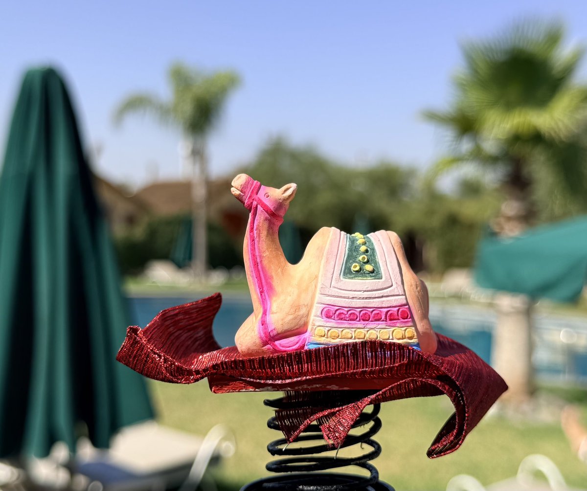 KyleOnKeys's tweet photo. After some time at the pool, Samir is excited to get back to the second night of shows with his new friends!! He’s especially enjoying the hookah. https://t.co/eJcXazKOXi