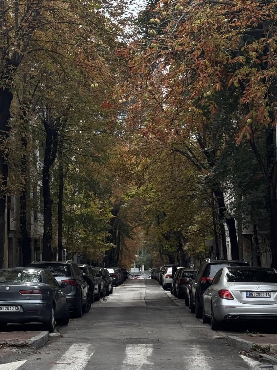 earthviewss1's tweet photo. Belgrade, Serbia 🇷🇸🍂 https://t.co/QFLJwQq8BT