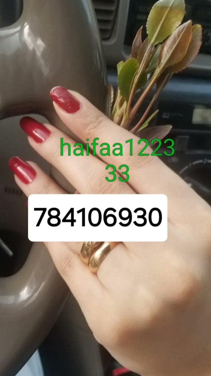 b08rky's tweet photo. قحاب صنعانيه https://t.co/39gGWOBdzj