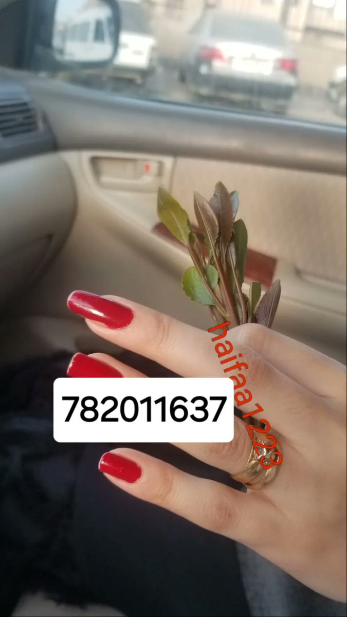 b08rky's tweet photo. ارقم قحاب تعزيات https://t.co/LSytKKAELk