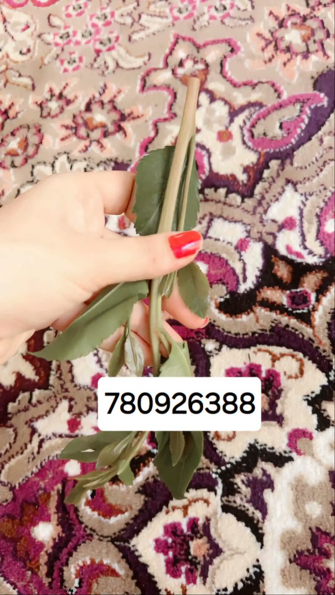 b08rky's tweet photo. ارقم قحاب تعزيات https://t.co/LSytKKAELk