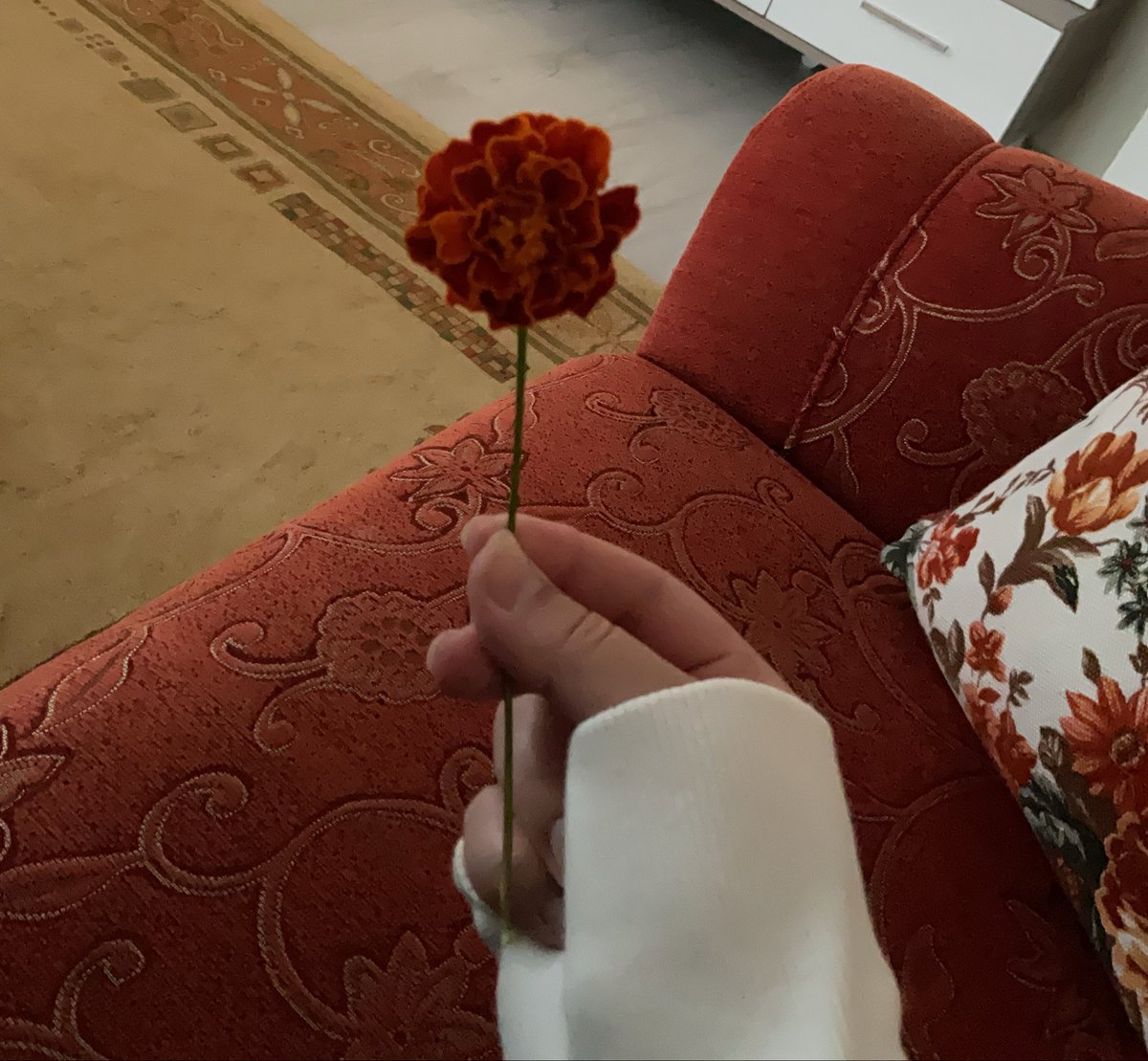 orbeasinc's tweet photo. kuzenimin 10 yasındaki oğlu bana aşık oldu benimle evlenceğini söylüyor surekli elimi tutuyo yanıma otur diyor ve bana çiçek koparttı. hakkettiğim değeri 10 yasındaki erkekten görüyorum💗 kucuk meleim💗 https://t.co/h2D3sh1BKj