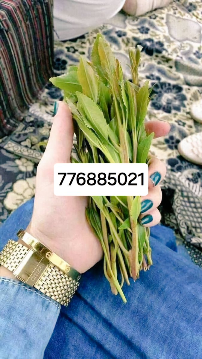 b08rky's tweet photo. ارقم بنات تعزيه https://t.co/uzWQ78hXvL