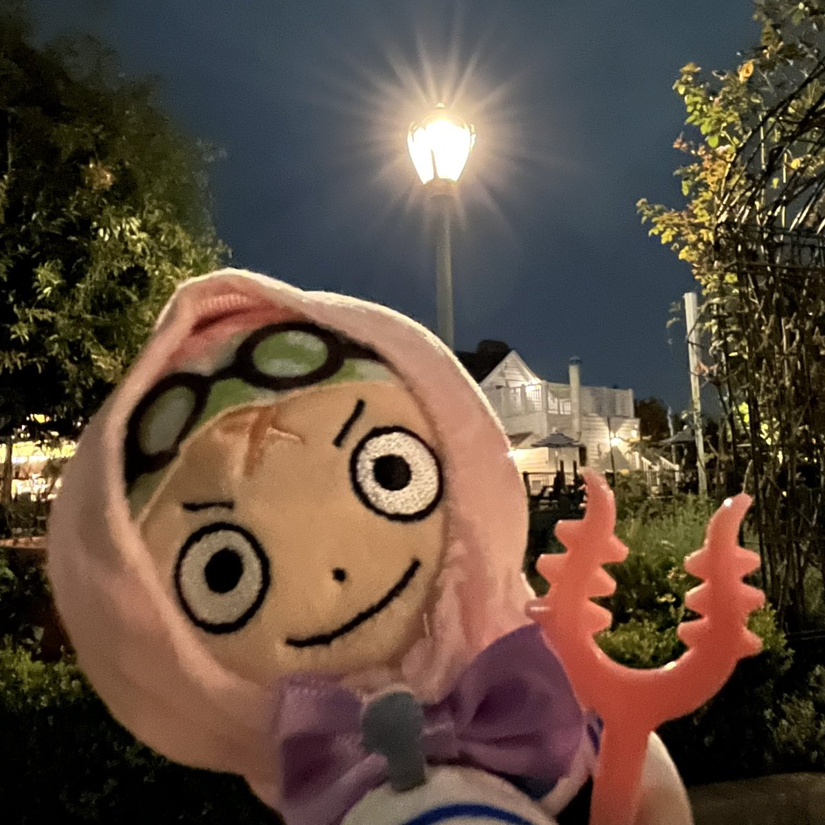 ka1z09's tweet photo. こ　ん　ば　ん　大　佐　
今夜はさすまた付き！ https://t.co/ZtWm6Q7QIP