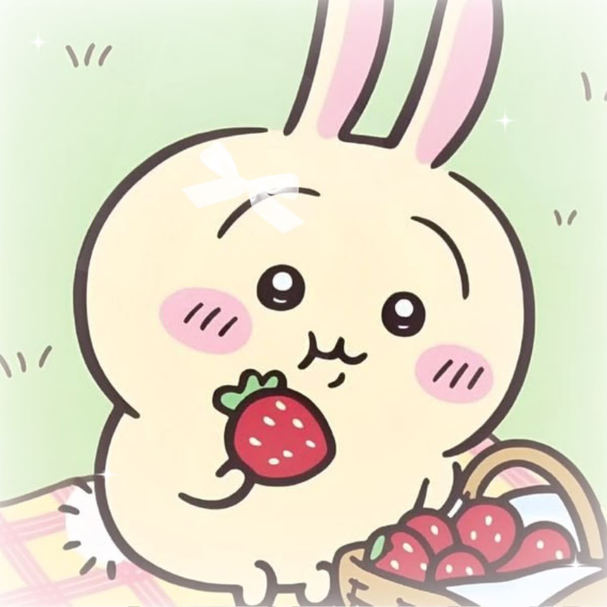 dolllilac's tweet photo. https://t.co/1r2g6NOo0b