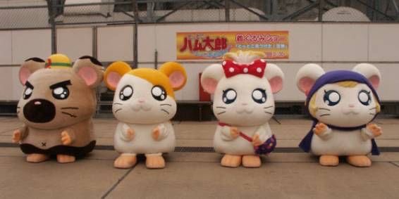 8esuii8's tweet photo. https://t.co/HyDAhizuJo
