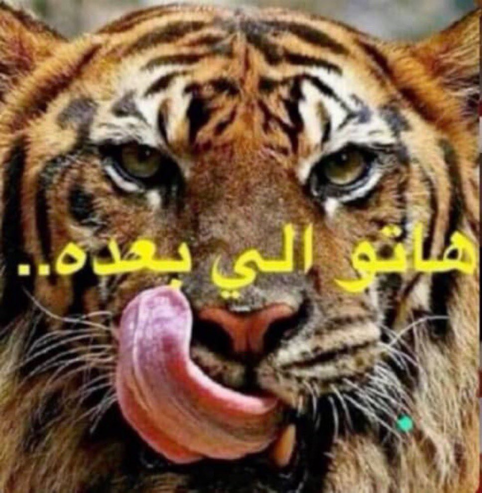 kunyyie's tweet photo. #SWAG https://t.co/HICKiXwiim