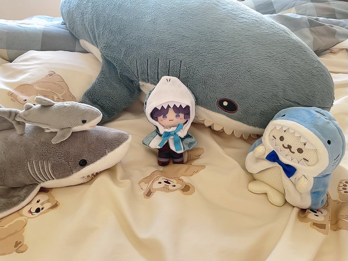 shiawaseism's tweet photo. 五条小鲨鱼🩵🦈🦈🦈🦈🦈 https://t.co/e6BZBgWVZP