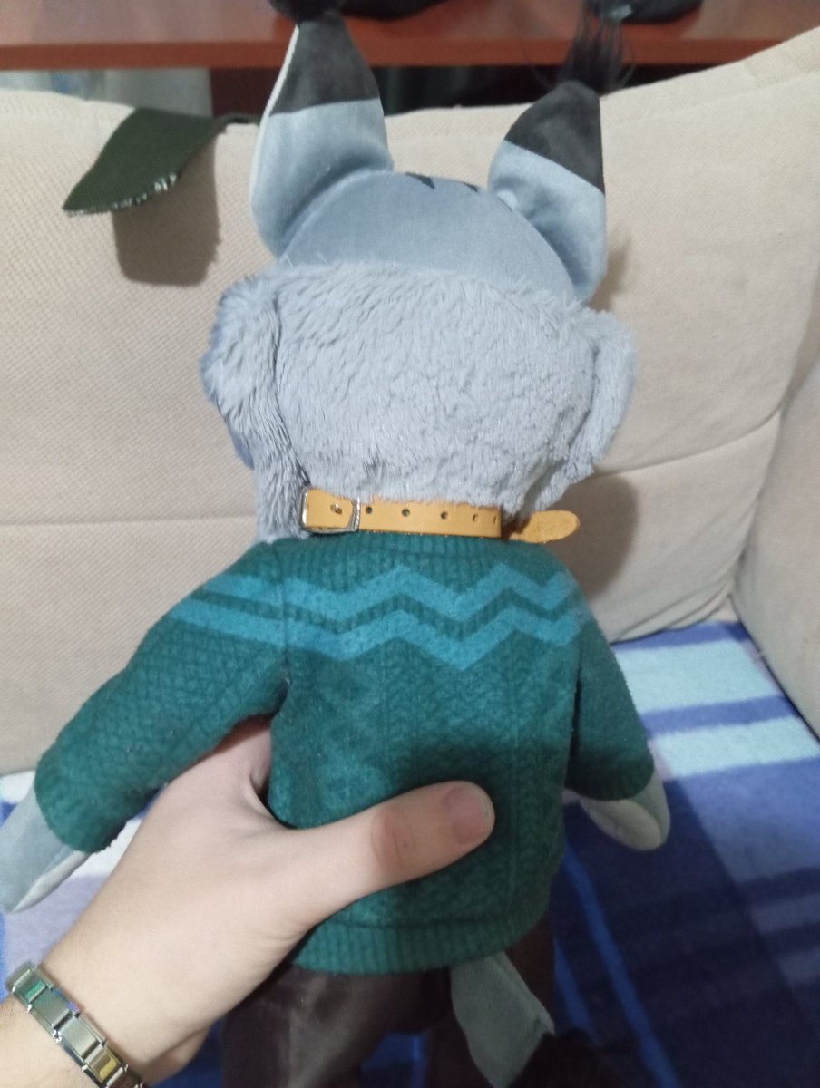 pawbert_777's tweet photo. I bought Pawbert a collar (to spruce up his look a bit). Now he looks like a house cat https://t.co/8DXKuVrsqw