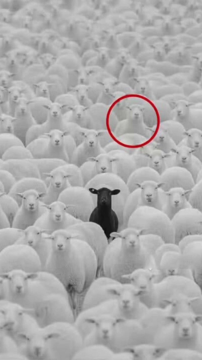 sadraline's tweet photo. Moi dans cette génération de pute infidèle https://t.co/0IKHZvTt1e