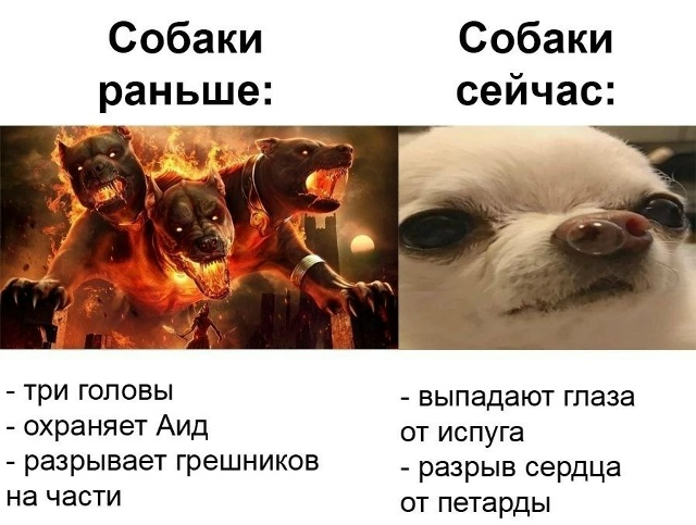 jolychik1's tweet photo. Буквально ахахафхыафхаыфх https://t.co/OhzAQwh1zc