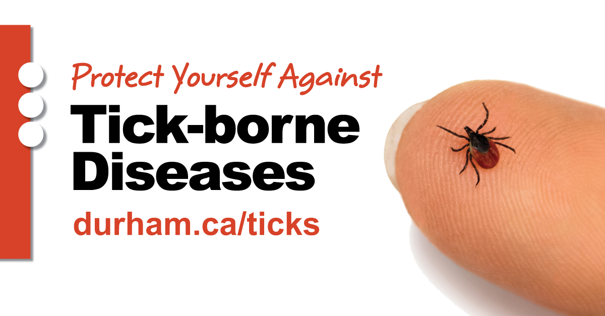DurhamHealth's tweet photo. Ticks are active in #DurhamRegion. 

Take precautions to protect yourself, family and pets against tick-borne diseases such as #LymeDisease.

🔗 Learn more https://t.co/fO8elOhpQ7 https://t.co/EC7SKbAKsE
