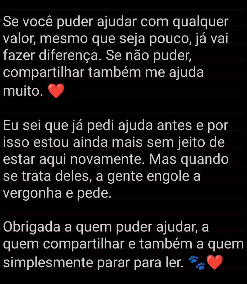 RosaneFarkas's tweet photo. Gente, me desculpe pedir ajuda novamente 😞 É pq hj, ainda não achei a solução p resolver a ração deles... E sinceramente, não sei pq minha situação financeira mudou tanto. Hj estou tomando conta dos 🐱🐶 da minha irmã, num total de 20🐱e 5🐶, pq ela não conseguiu levar eles😐. https://t.co/qiT7SOrapi