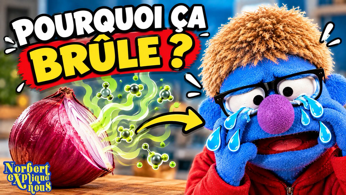 NorbertExplique's tweet photo. Pourquoi un simple oignon peut-il nous faire pleurer en quelques secondes ? 😭🧅
➡️ https://t.co/Jf92HeeVR9 https://t.co/LD8JEtlo9F