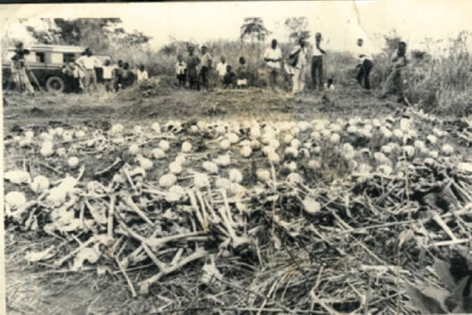 Sempira4freedom's tweet photo. THE LUWERO LIE!
- 1981-85, Museveni starts bush war in Luwero.
- 600,000+ civilians dead.
- Used them as human shields, blamed Obote, then paraded their skulls for power.
- UPC demanded a forensic inquiry. Museveni refused. Why? https://t.co/HA13zar3J2