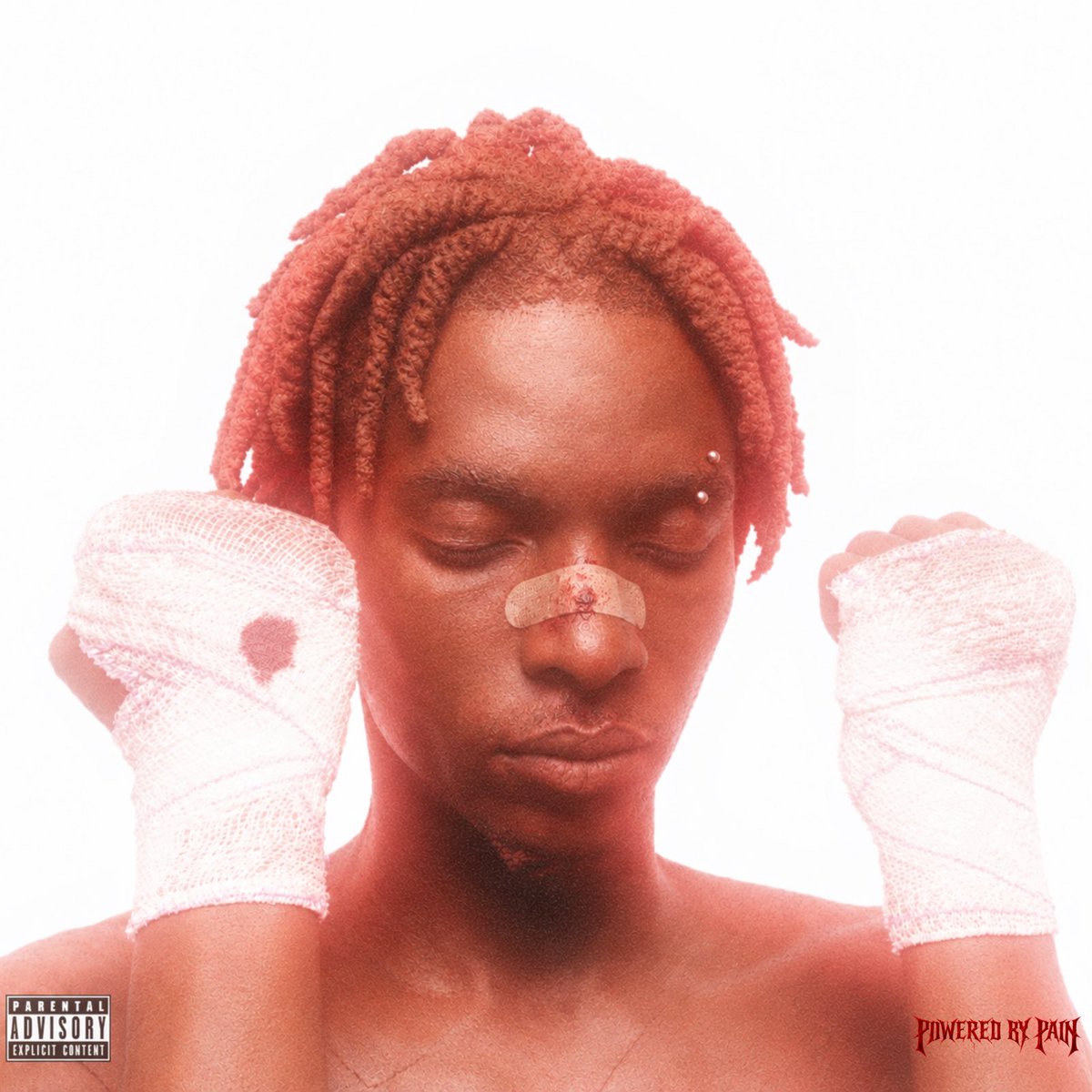thechargie's tweet photo. New @Raldmusic Debut Project (POWERED BY PAIN) Is OUT NOW!
So proud of you! I know how much this project means to you, Glad we finally put this out there to kick start a timeless run. ✨❤️🩹 S/O to everyone that worked on this project, Let’s Go! #PBP
https://t.co/480Wm8ojsR https://t.co/yXfSqssW37