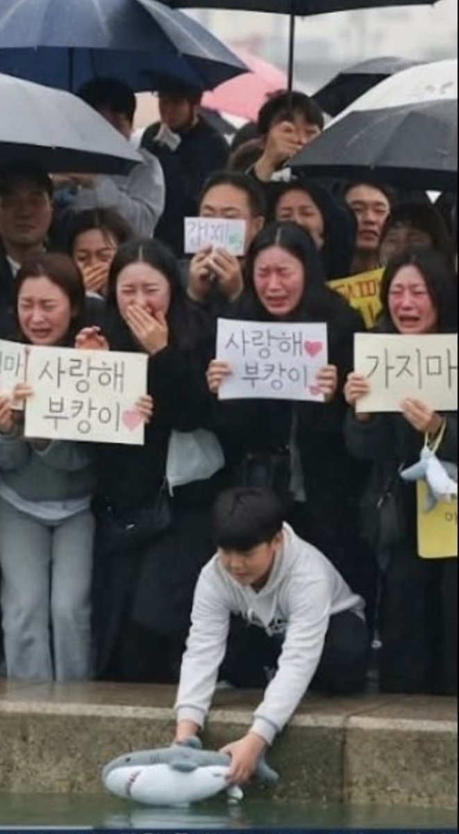 Cosmo_JasonK's tweet photo. @ehlover19 정신병자들이 너무 많음. https://t.co/g08VMcbu9C