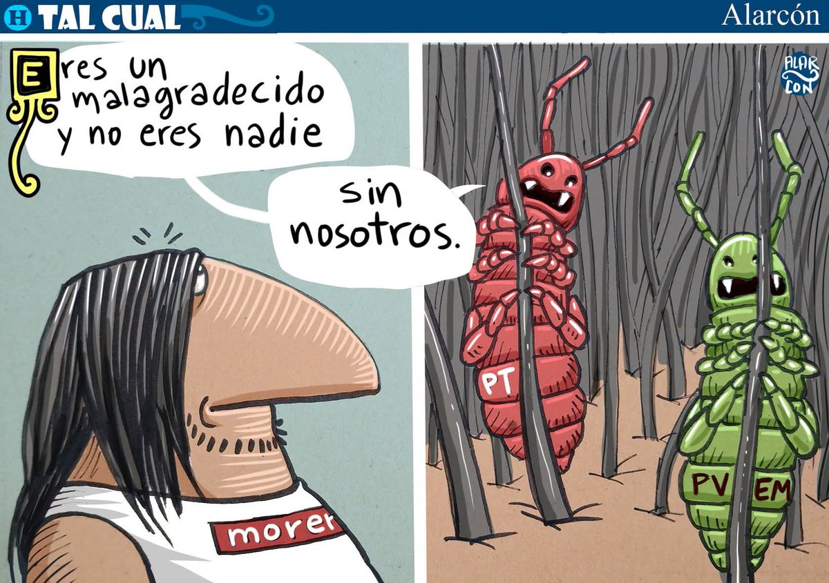 GuillermoJB's tweet photo. @alarcondibujos @CibernautasPVEM @PTMexico Te faltaron los piojosos oportunistas y convenencieros de MC

Al Final, las cuatro PPPP:
Partidos, Piojosos, Parasitos, y  Pejependejos

Tal Cual...
...PIOJOSOS POLÍTICOS  (morena, PT, PVEM, MC), se necesitan para sobrevivir y ganar. https://t.co/YlAIeoH7Z4