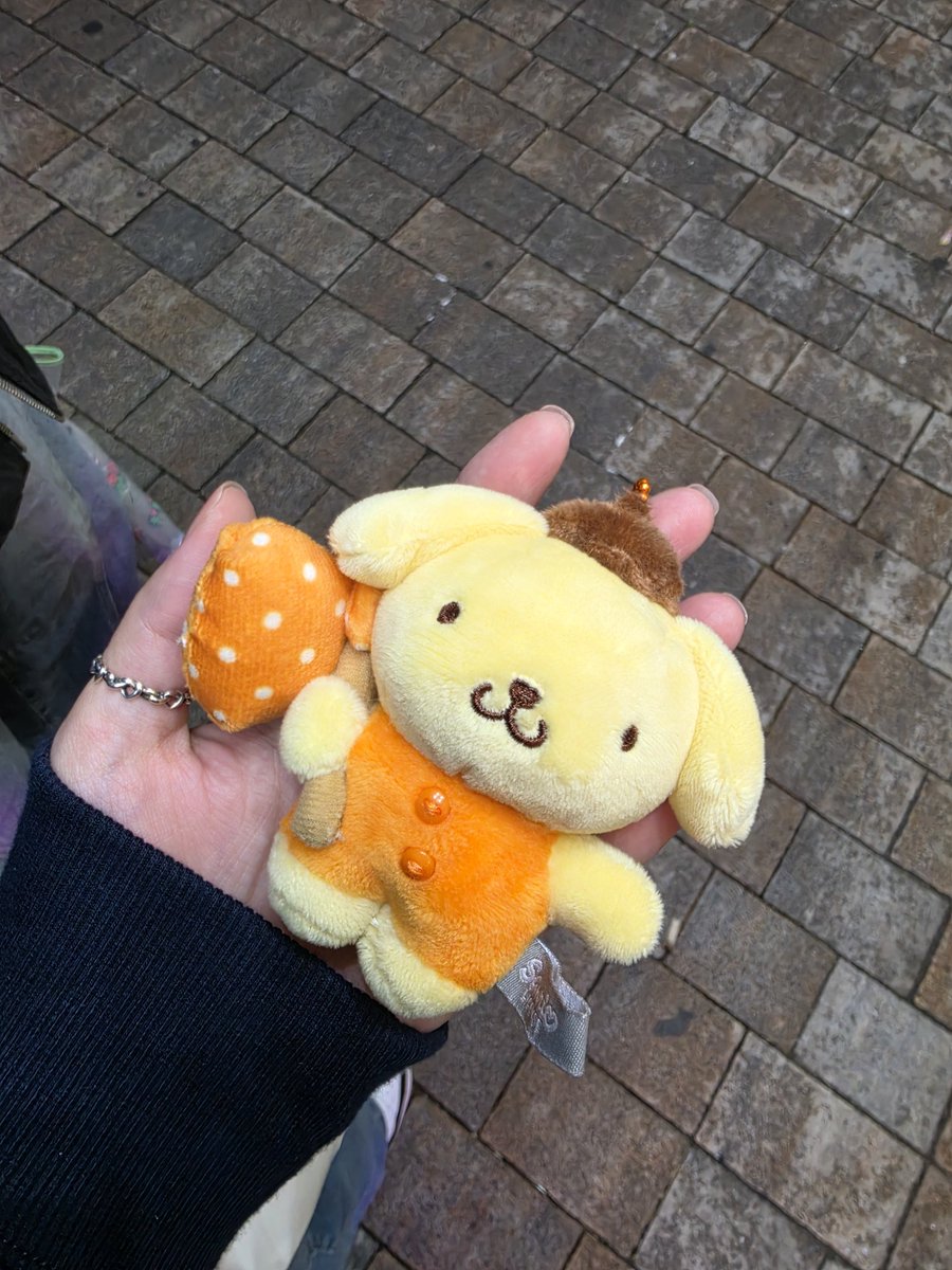 _ououm's tweet photo. 하치와레 뽑고싶엇는데 오천만언날리고 
폼폼푸린 줘패면서 화풀이함 히히. .. ... ㅜ ..... ㅅㅂ https://t.co/LBuG6SHfMQ