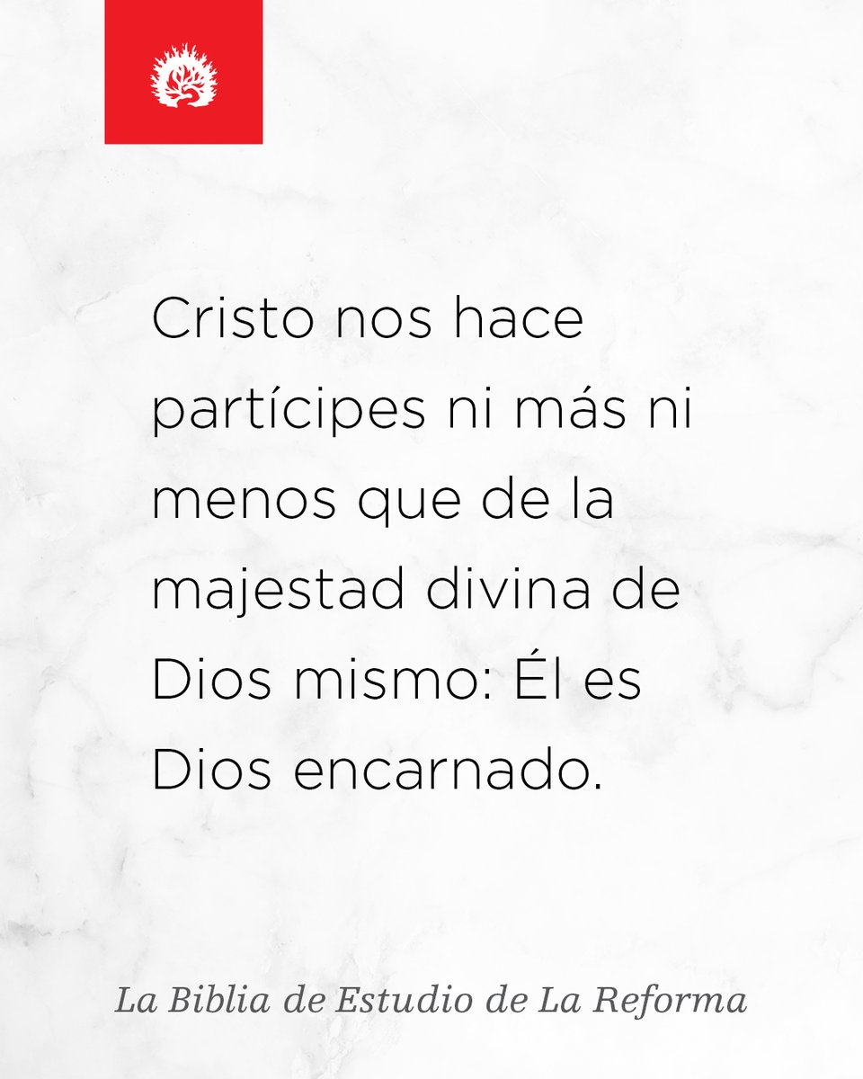 LigonierESP's tweet photo. «Cristo nos hace partícipes ni más ni menos que de la majestad divina de Dios mismo: Él es Dios encarnado».

Más información sobre La Biblia de Estudio de La Reforma: https://t.co/7HraFSEQwj

#BibliaDeEstudioDeLaReforma https://t.co/0bVU8dAa9r