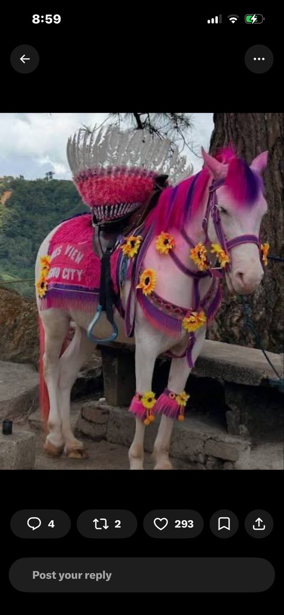 RamenSenpai666's tweet photo. Here is the comic in case you wasn’t able to see it, it’s based off a real horse. People got upset about it because it’s like that one meta manga (see last pic) https://t.co/1IDaimwetm