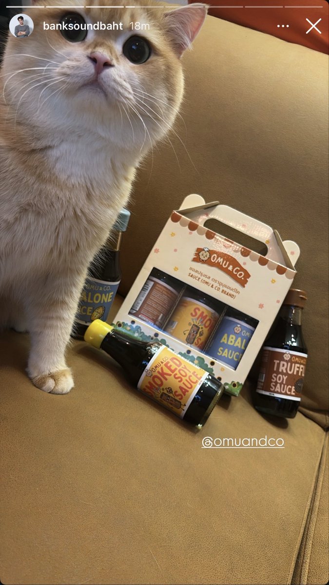 vlrp01's tweet photo. Bank Sakchai (Gentle Monster &amp; Tamburins Thailand) reviewed Omu&amp;Co products! 

He really loves the Truffle Soy Sauce! 

Thank you so much for supporting Orm and Omu&amp;Co, K'Bank. 🤍

#ormkornnaphat #omuandco https://t.co/N7ovaxkDRk
