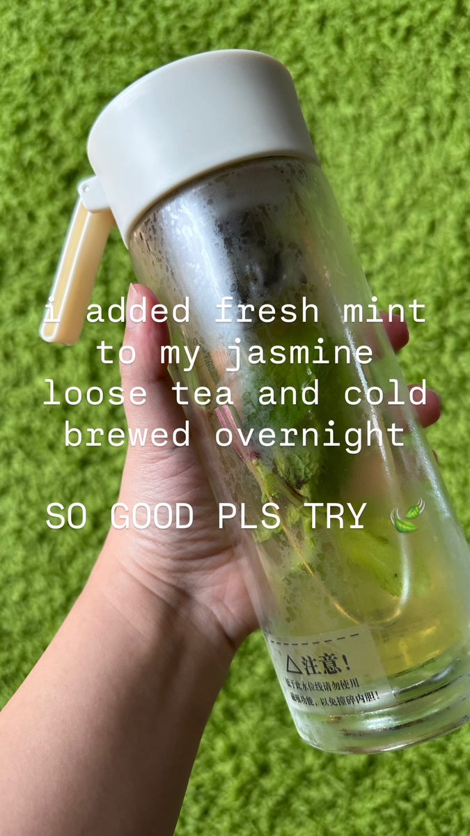 jaceandjudy's tweet photo. i had no idea you can cold brew loose tea + fresh mint, and now it’s my favorite thing 🍃 https://t.co/0b5bovEn5d
