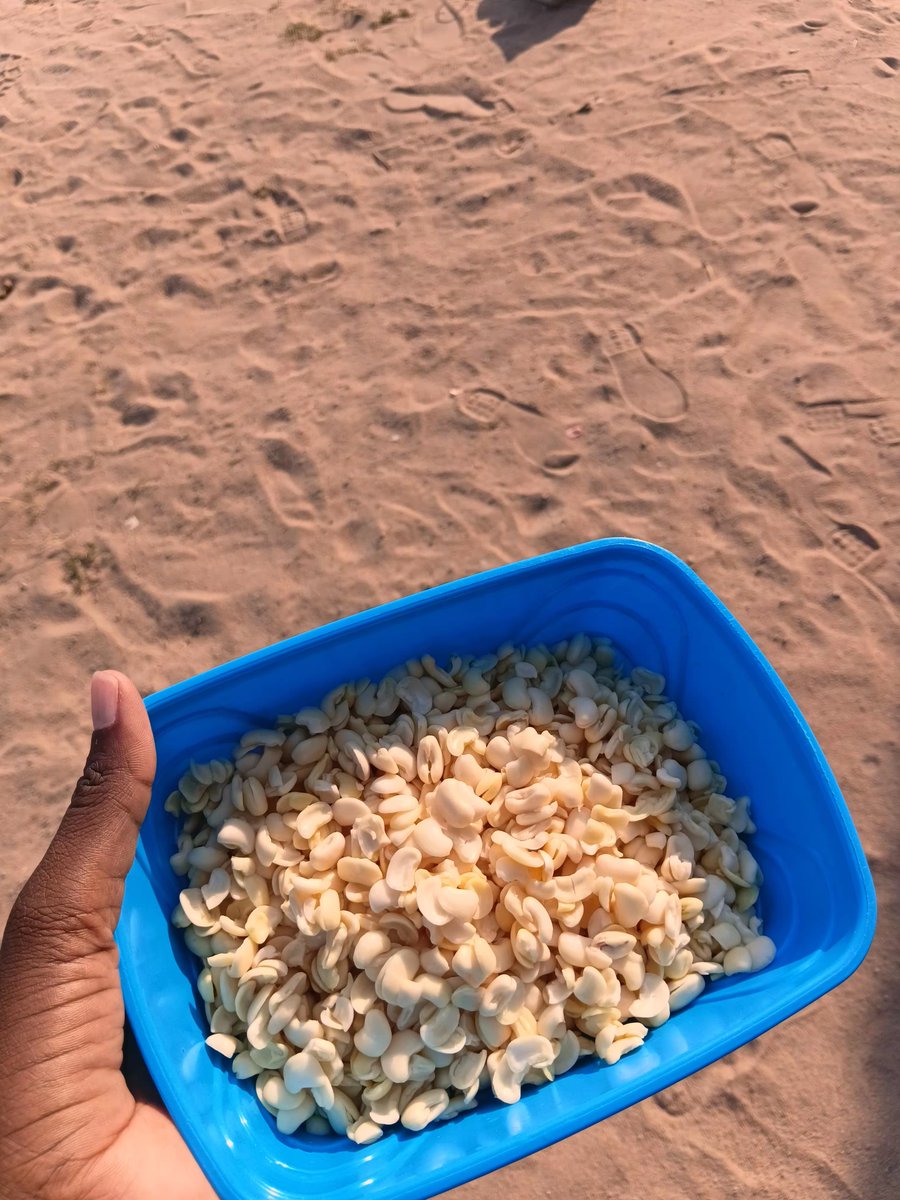 ymmihs240919's tweet photo. Otandi ningi oshigali... my favourite 🥰 https://t.co/02rCHAJjlf