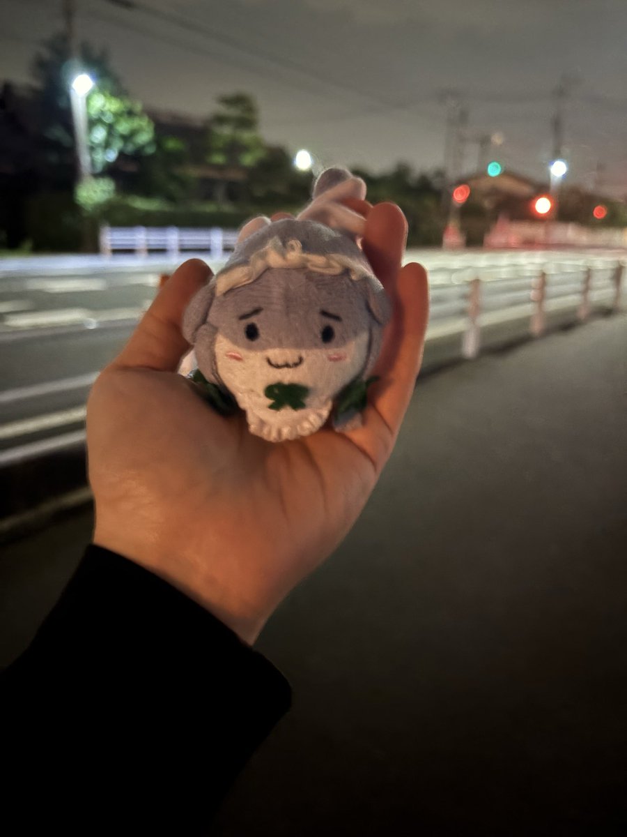 2026Sakuya_'s tweet photo. #すくすく日和
おちび）ｷｭ!ｷｭ!（夜道！おねちゃを守る！）
頼りにしてるよ😆 https://t.co/BvDnePXIOG